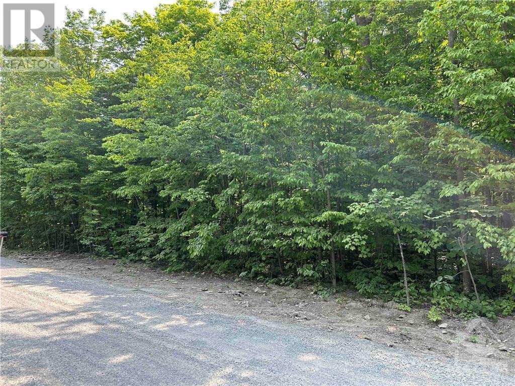8022 Cooper Hill Road, Metcalfe, Ontario  K0A 2P0 - Photo 4 - 1352528