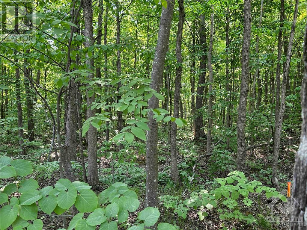 8022 Cooper Hill Road, Metcalfe, Ontario  K0A 2P0 - Photo 5 - 1352528