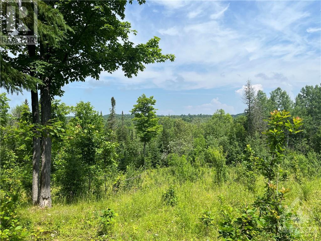 00 B Goshen Road, Horton, Ontario  K7V 3Z4 - Photo 18 - 1355173