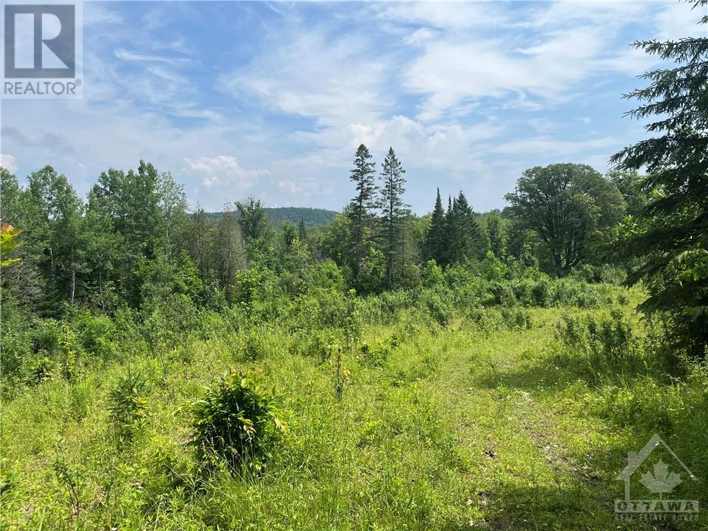 00 B Goshen Road, Horton, Ontario  K7V 3Z4 - Photo 19 - 1355173