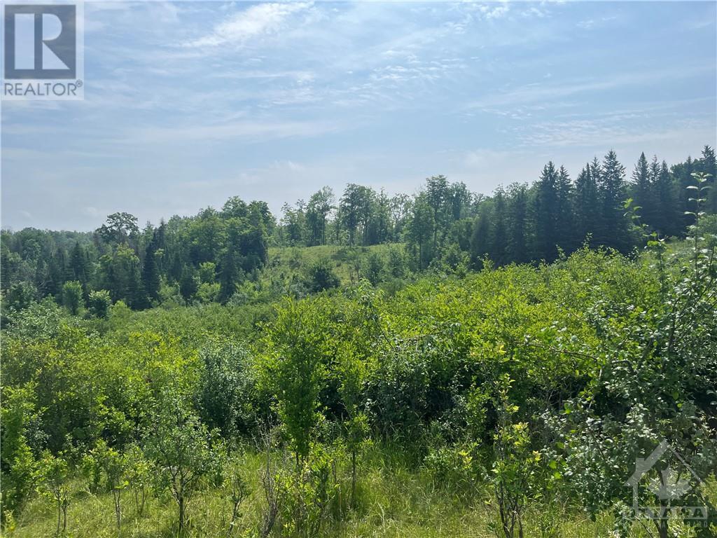 00 B Goshen Road, Horton, Ontario  K7V 3Z4 - Photo 7 - 1355173