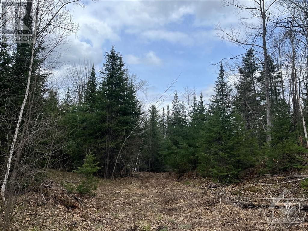 00 A Goshen Road, Horton, Ontario  K7V 3Z4 - Photo 19 - 1355346