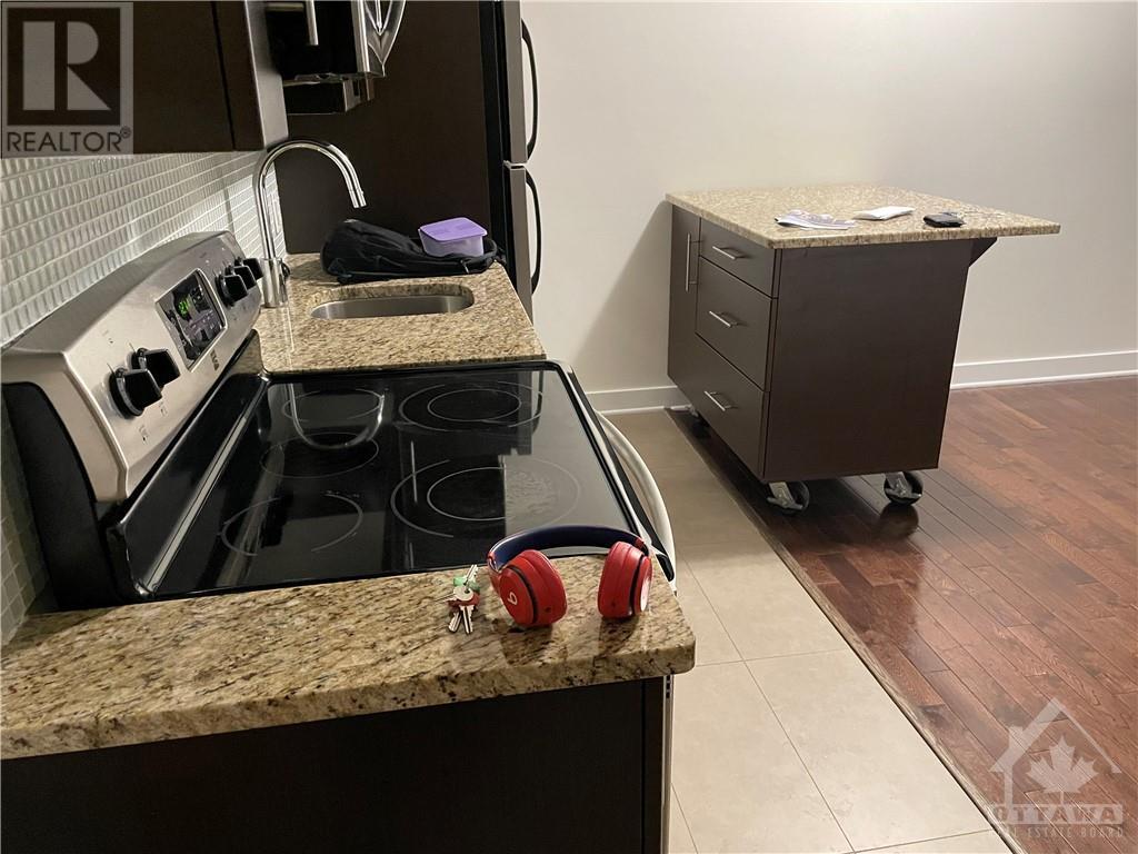 360 Cumberland Street Unit#308, Ottawa, Ontario  K1N 0B1 - Photo 4 - 1355394