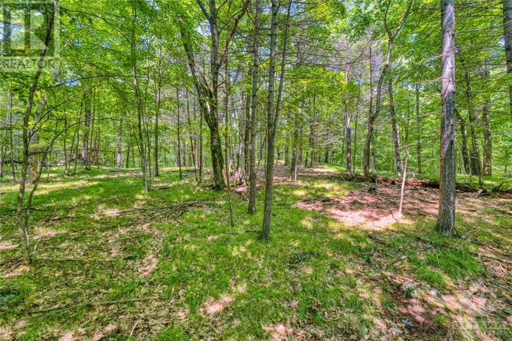 75 Lasha Lane, Elgin, Ontario  K0G 1E0 - Photo 14 - 1355549