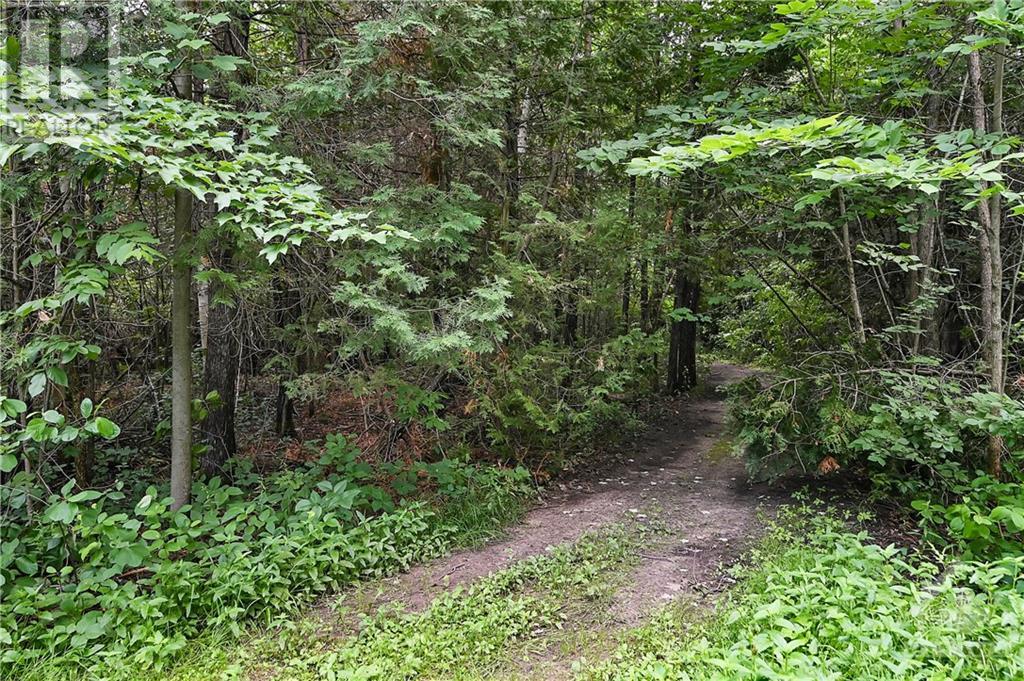 442 Bolton Road, Merrickville, Ontario  K0G 1N0 - Photo 26 - 1357586