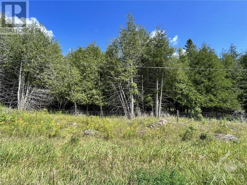 004 Norton Road, Calabogie, Ontario  K7V 3Z9 - Photo 3 - 1357032