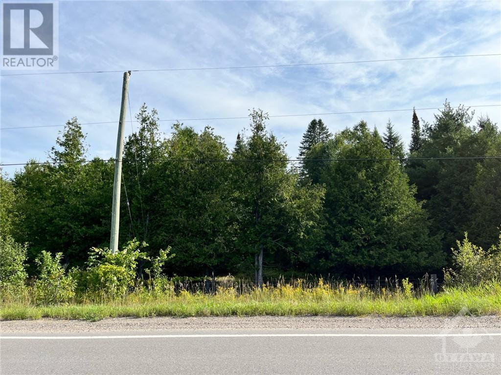 002 Norton Road, Calabogie, Ontario  K7V 3Z9 - Photo 4 - 1357029