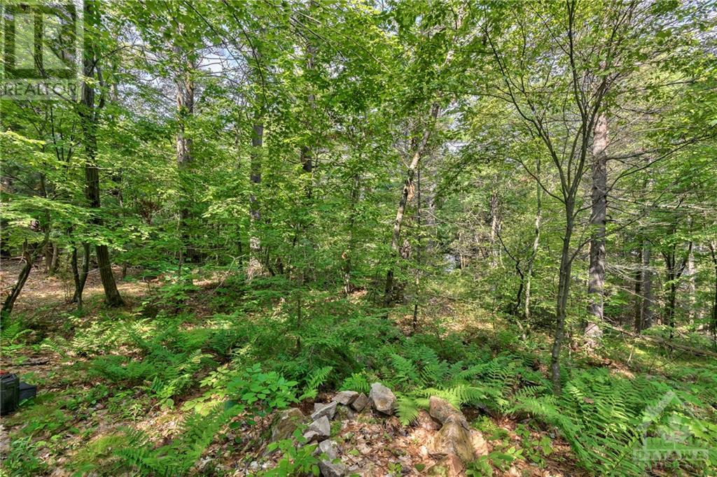 Lot 7-8 Concession 5 Estate, Athens, Ontario  K0E 1B0 - Photo 26 - 1357665