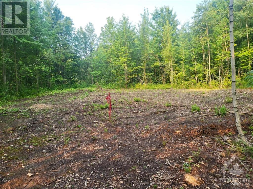3244 Piche Road, Casselman, Ontario  K0A 1M0 - Photo 13 - 1356242