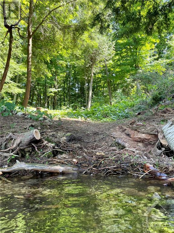 3 Sand Island, Portland, Ontario  K0G 1V0 - Photo 11 - 1358196