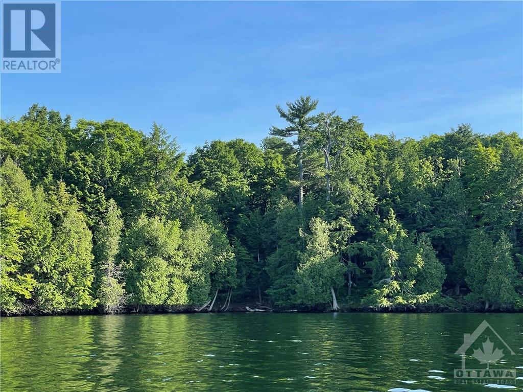 3 Sand Island, Portland, Ontario  K0G 1V0 - Photo 12 - 1358196
