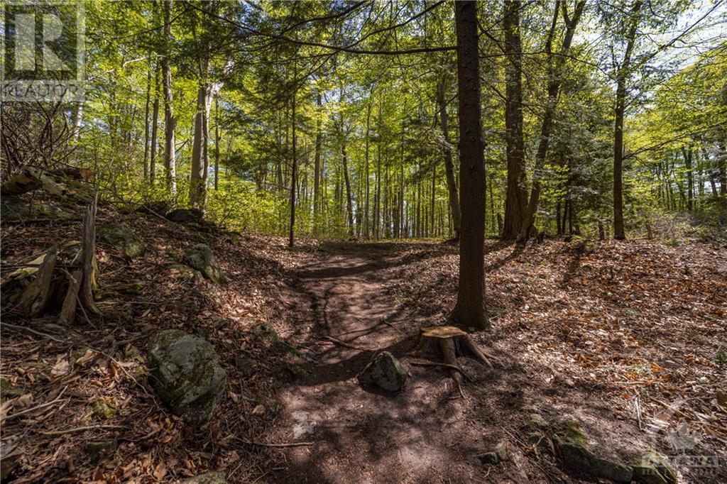 3 Sand Island, Portland, Ontario  K0G 1V0 - Photo 18 - 1358196