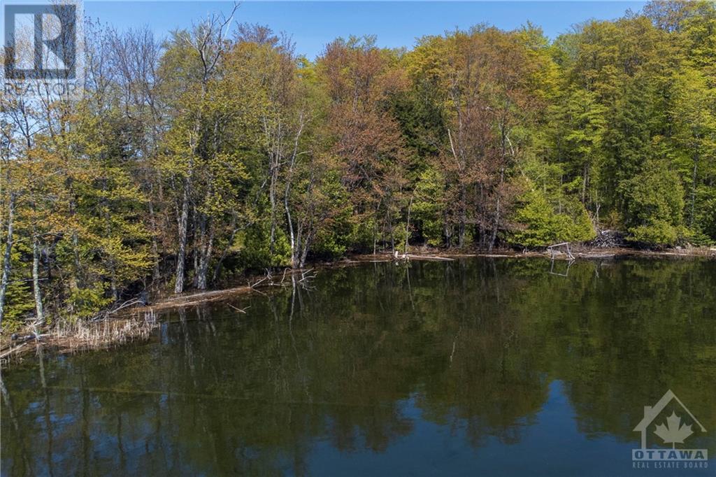 3 Sand Island, Portland, Ontario  K0G 1V0 - Photo 22 - 1358196