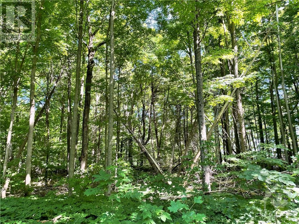 3 Sand Island, Portland, Ontario  K0G 1V0 - Photo 9 - 1358196