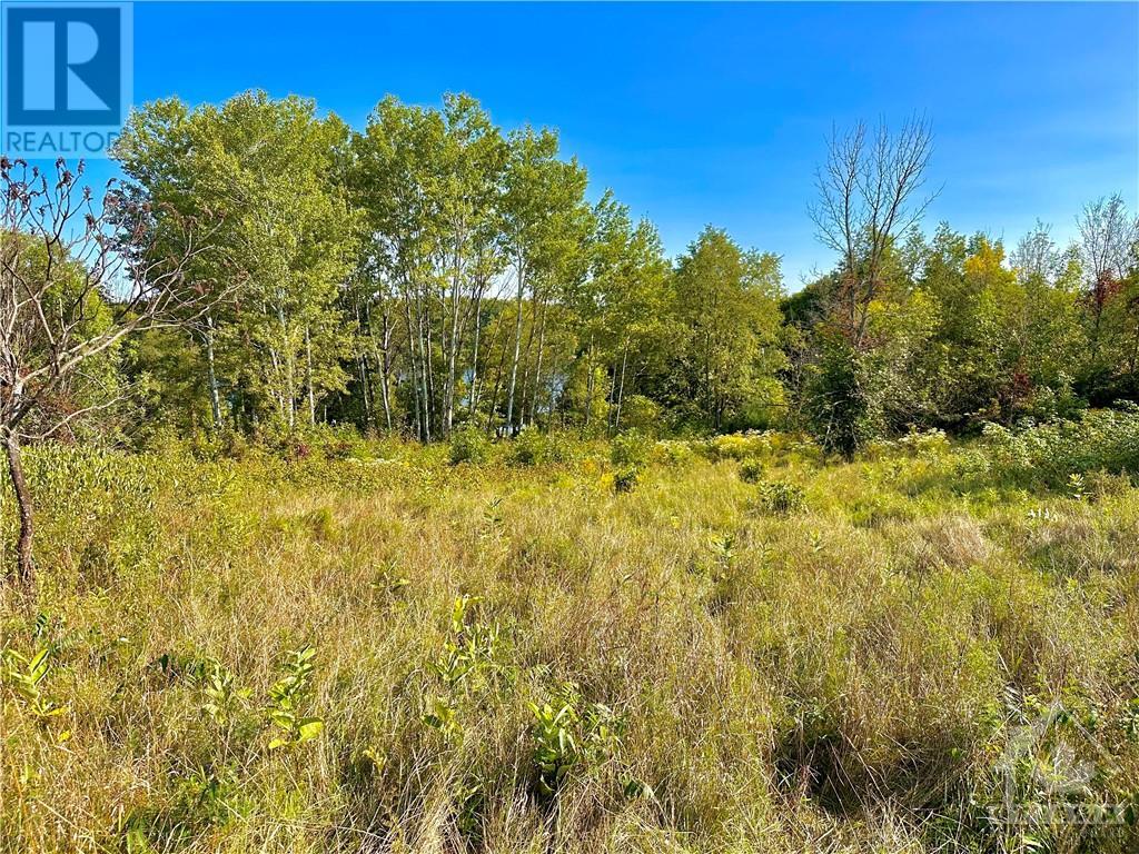 Downing Lane, Calabogie, Ontario  K0J 1H0 - Photo 2 - 1358379