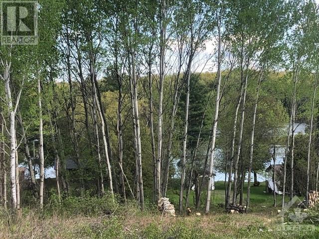 Downing Lane, Calabogie, Ontario  K0J 1H0 - Photo 3 - 1358379