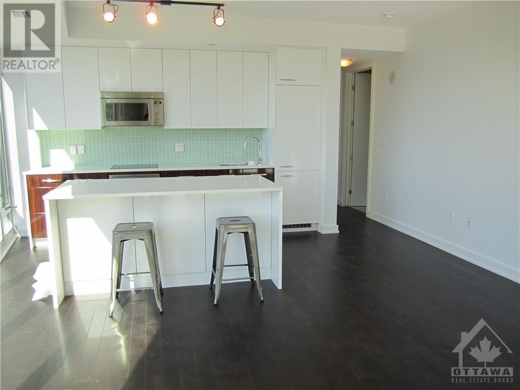 111 Champagne Avenue Unit#504, Ottawa, Ontario  K1S 5V3 - Photo 3 - 1352054