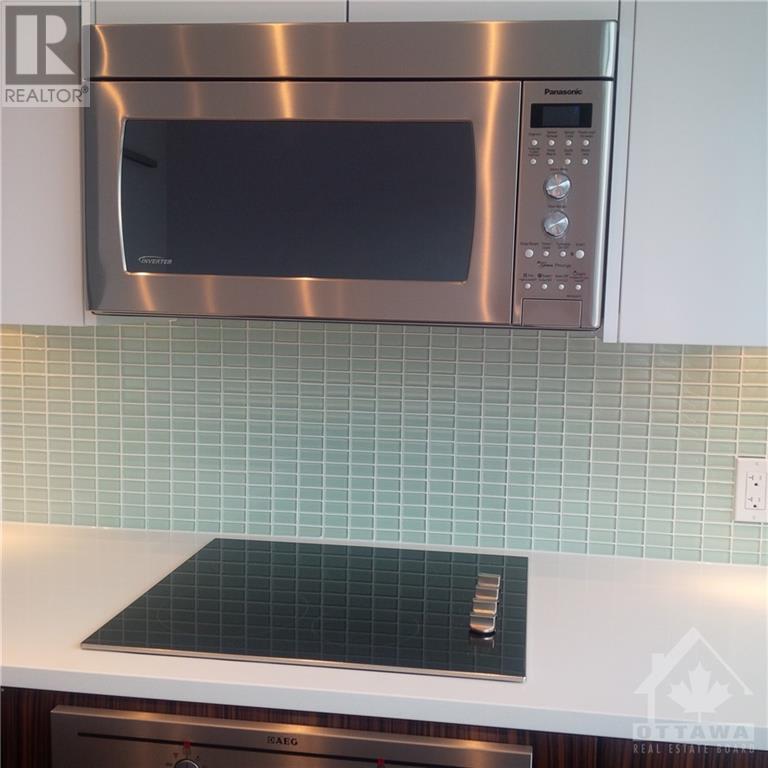 111 Champagne Avenue Unit#504, Ottawa, Ontario  K1S 5V3 - Photo 5 - 1352054
