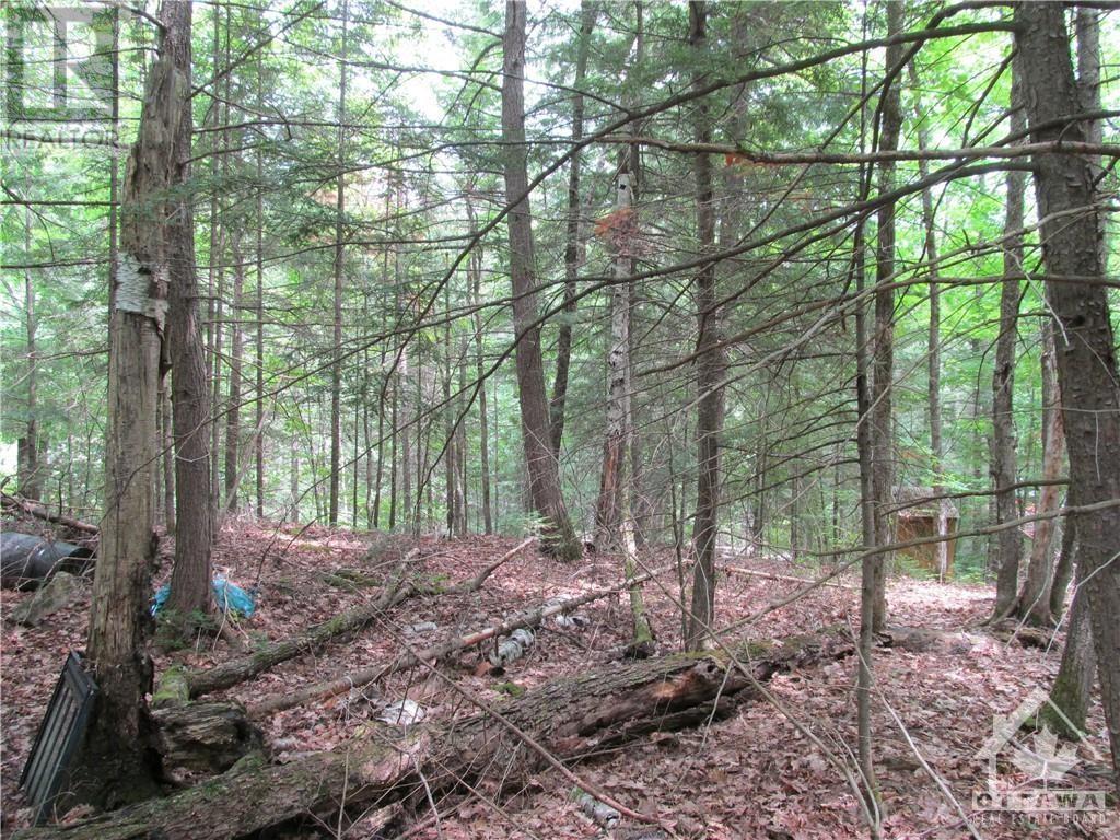 1061 Centennial Lake Road, Calabogie, Ontario  K0J 1H0 - Photo 2 - 1359101