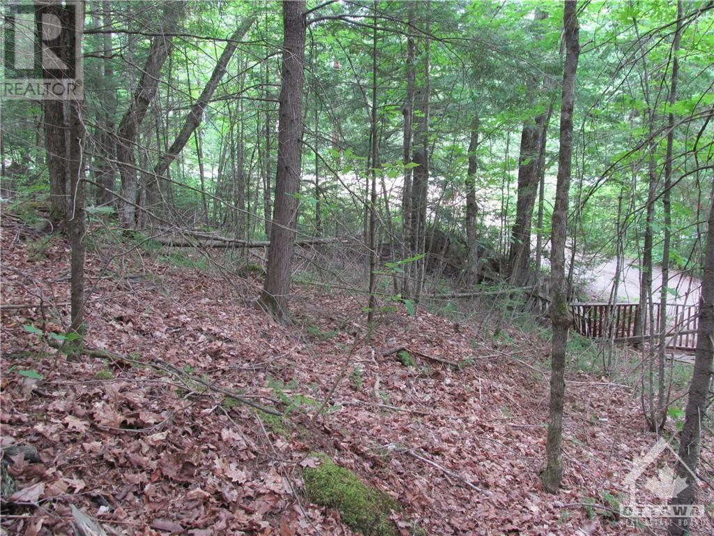 1061 Centennial Lake Road, Calabogie, Ontario  K0J 1H0 - Photo 3 - 1359101