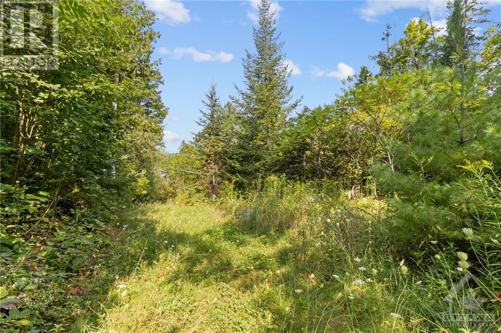 140 Harry Mackay Road, Woodlawn, Ontario  K0A 3M0 - Photo 6 - 1359225