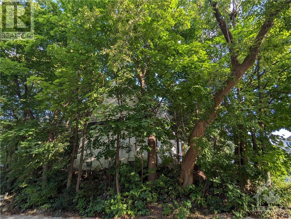 15 Torrington Place, Ottawa, Ontario  K1S 4E2 - Photo 3 - 1359089
