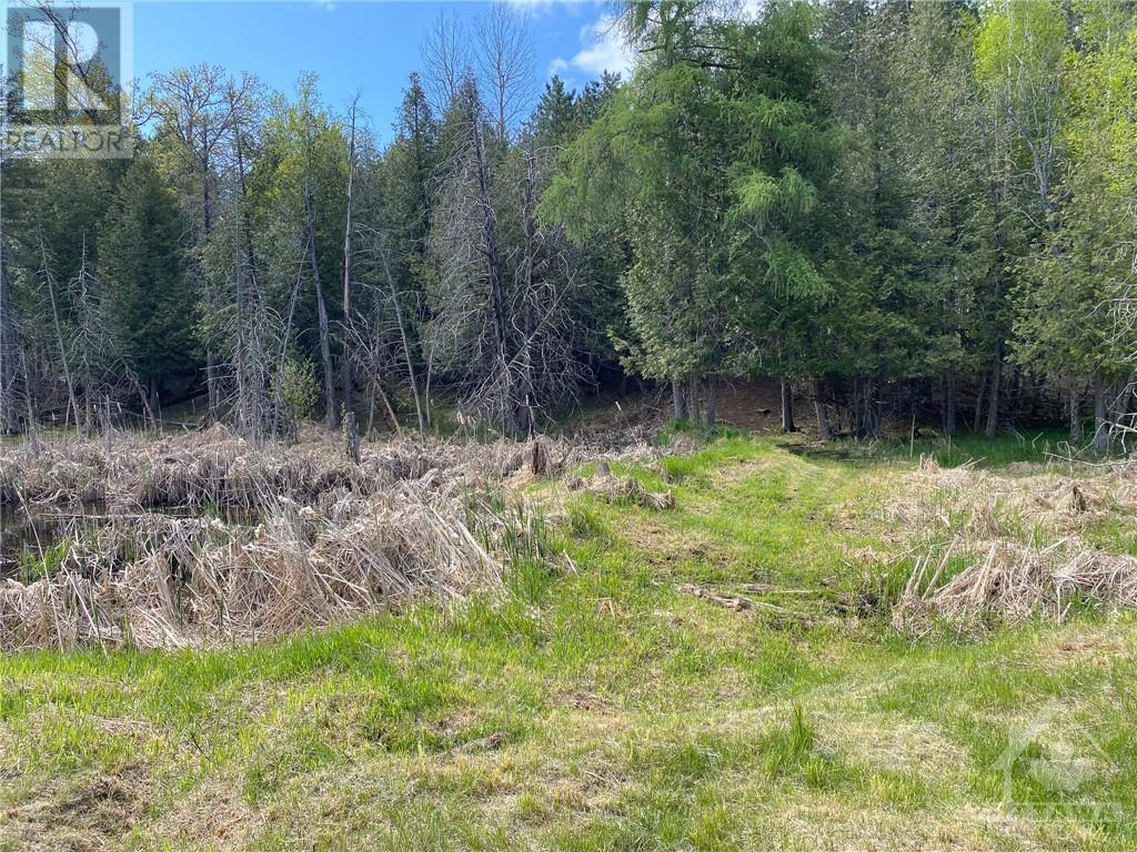 1477 Watsons Corners Road, Lanark Highlands, Ontario  K0G 1K0 - Photo 2 - 1361109