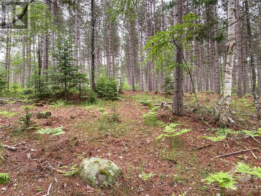1477 Watsons Corners Road, Lanark Highlands, Ontario  K0G 1K0 - Photo 3 - 1361109