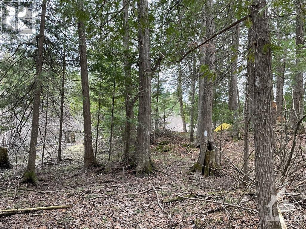 00 Langstaff Road, Lanark Highlands, Ontario  K0G 1K0 - Photo 15 - 1361204