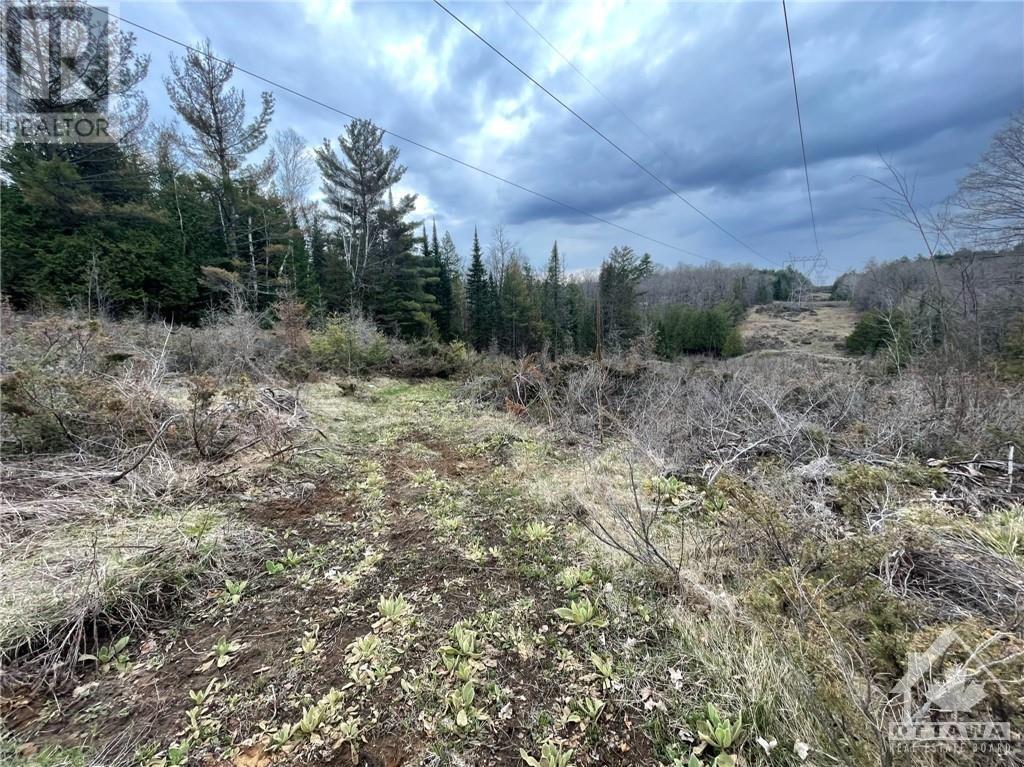 00 Langstaff Road, Lanark Highlands, Ontario  K0G 1K0 - Photo 19 - 1361204