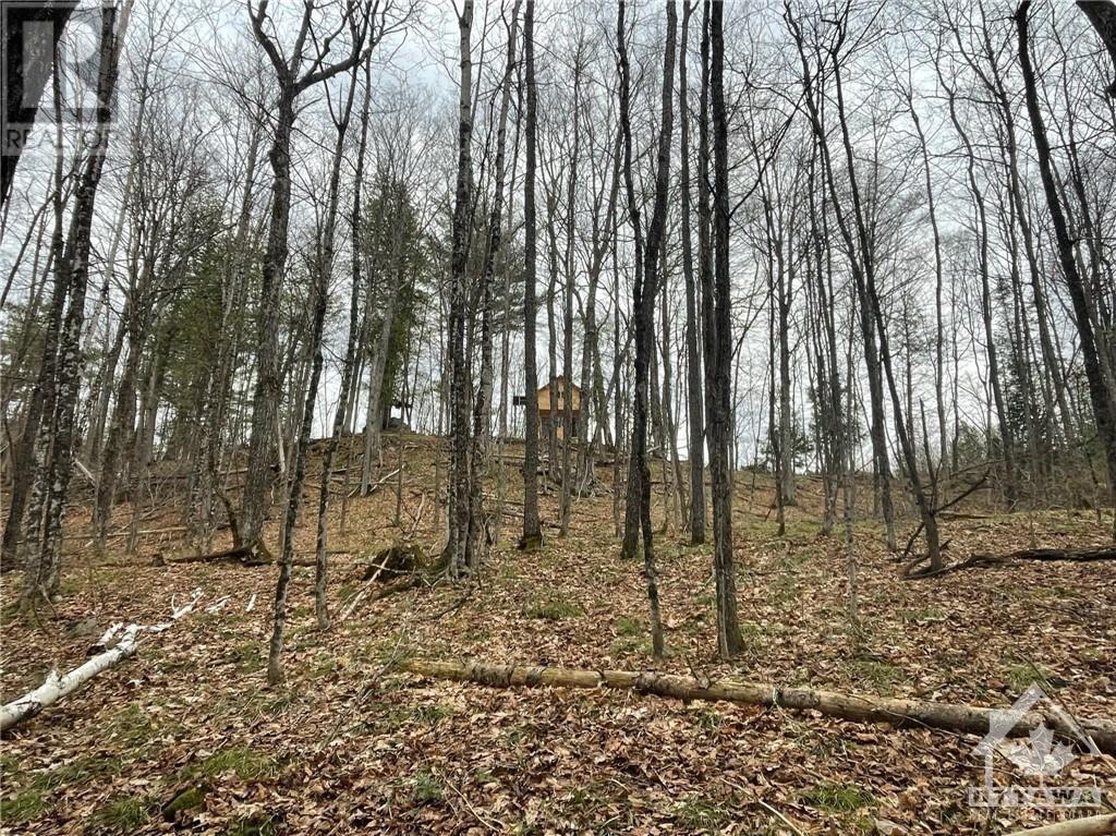 00 Langstaff Road, Lanark Highlands, Ontario  K0G 1K0 - Photo 7 - 1361204