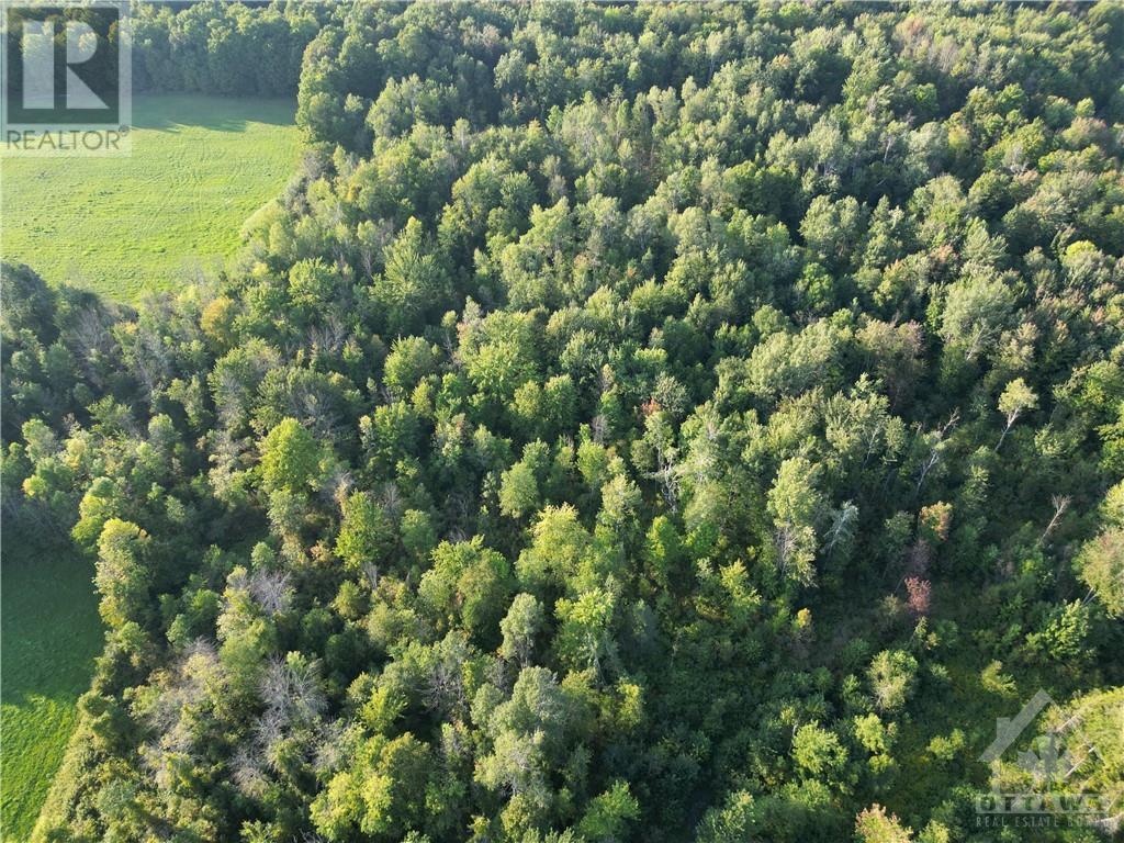 19013 County Road 22 Road, Maxville, Ontario  K0C 1T0 - Photo 10 - 1361636