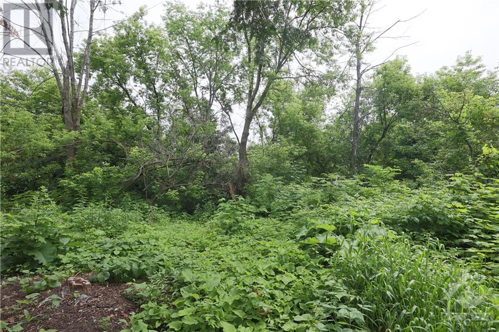 3419 Old Montreal Road, Cumberland, Ontario  K4C 1H8 - Photo 12 - 1361845
