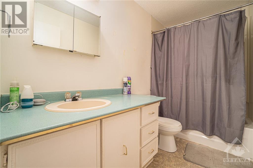 978 Notre-Dame Street, Embrun, Ontario  K0A 1W0 - Photo 17 - 1361865
