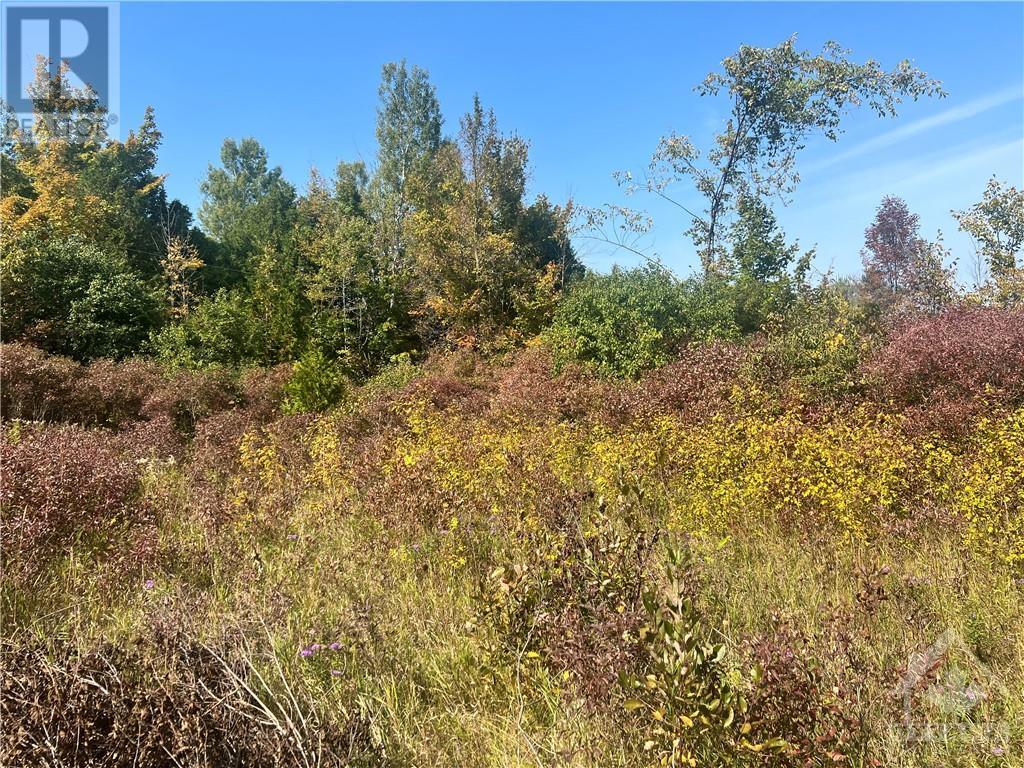 00 Blanchard Road, Lombardy, Ontario  K0G 1L0 - Photo 3 - 1361905