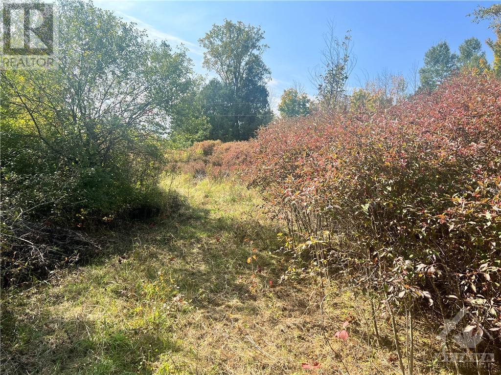 00 Blanchard Road, Lombardy, Ontario  K0G 1L0 - Photo 6 - 1361905