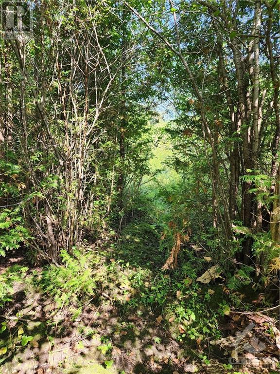 COUNTY RD 18 ROAD, kemptville, Ontario