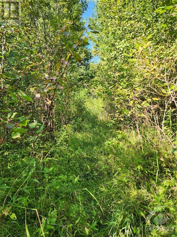 County Rd 18 Road, Kemptville, Ontario  K0G 1J0 - Photo 2 - 1361225