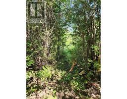 COUNTY RD 18 ROAD, kemptville, Ontario