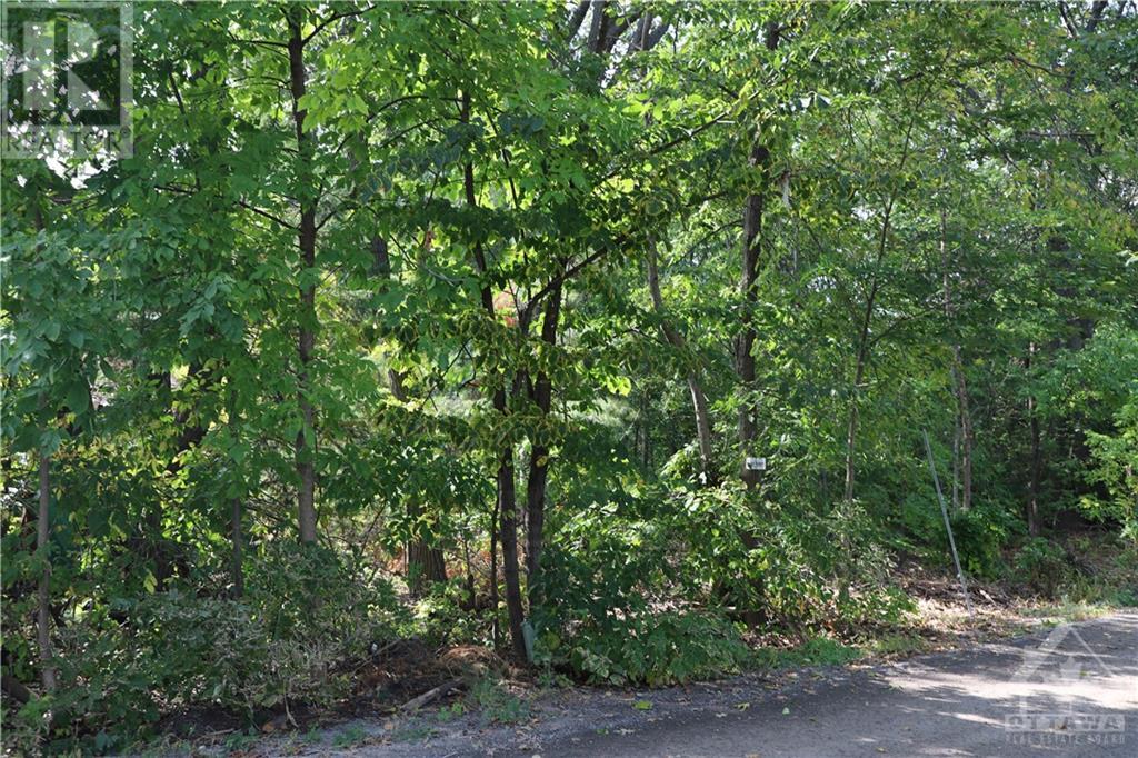 149 Lane Street, Woodlawn, Ontario  K0A 3M0 - Photo 2 - 1362234