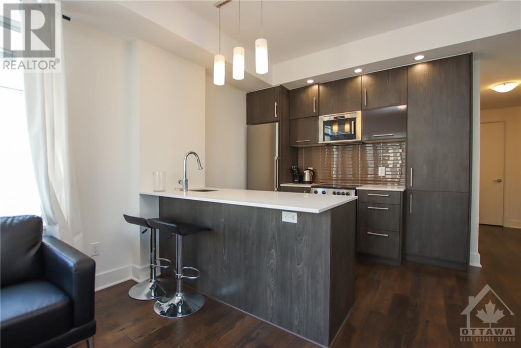 255 Bay Street Unit#1405, Ottawa, Ontario  K1R 0C5 - Photo 10 - 1362676