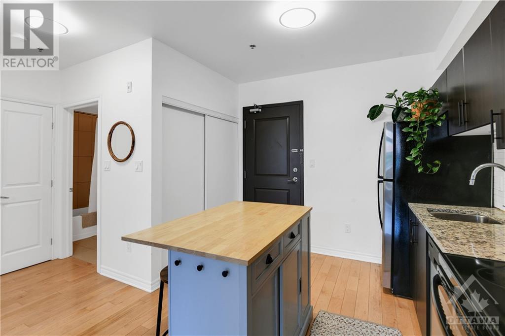 429 Kent Street Unit#219, Ottawa, Ontario  K2P 1B5 - Photo 25 - 1363128