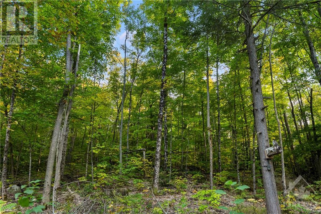 101 Radley Lane, Lanark Highlands, Ontario  K0G 1K0 - Photo 16 - 1363239