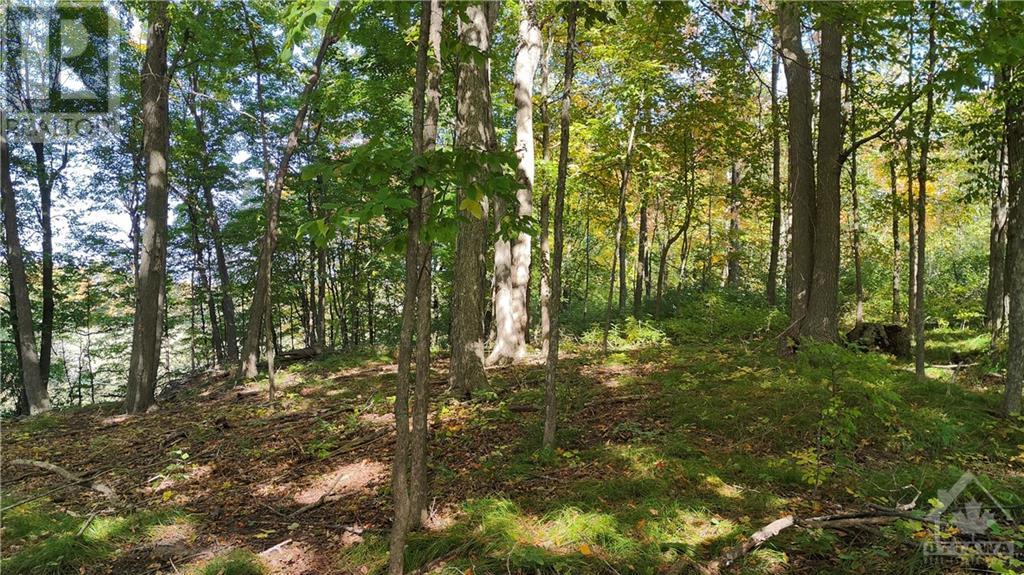 249 Old Morris Road, Balderson, Ontario  K0G 1A0 - Photo 5 - 1363462