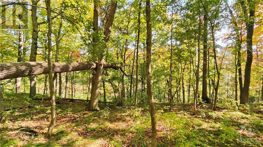 249 Old Morris Road, Balderson, Ontario  K0G 1A0 - Photo 6 - 1363462