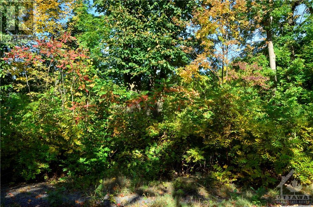 0000 Crowder Road, Morrisburg, Ontario  K0E 1X0 - Photo 5 - 1363269