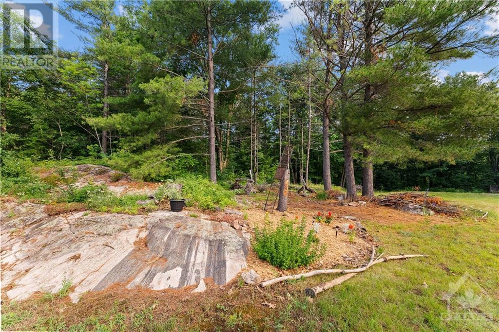252 Lake Dore Road, Golden Lake, Ontario  K0J 1X0 - Photo 11 - 1364143