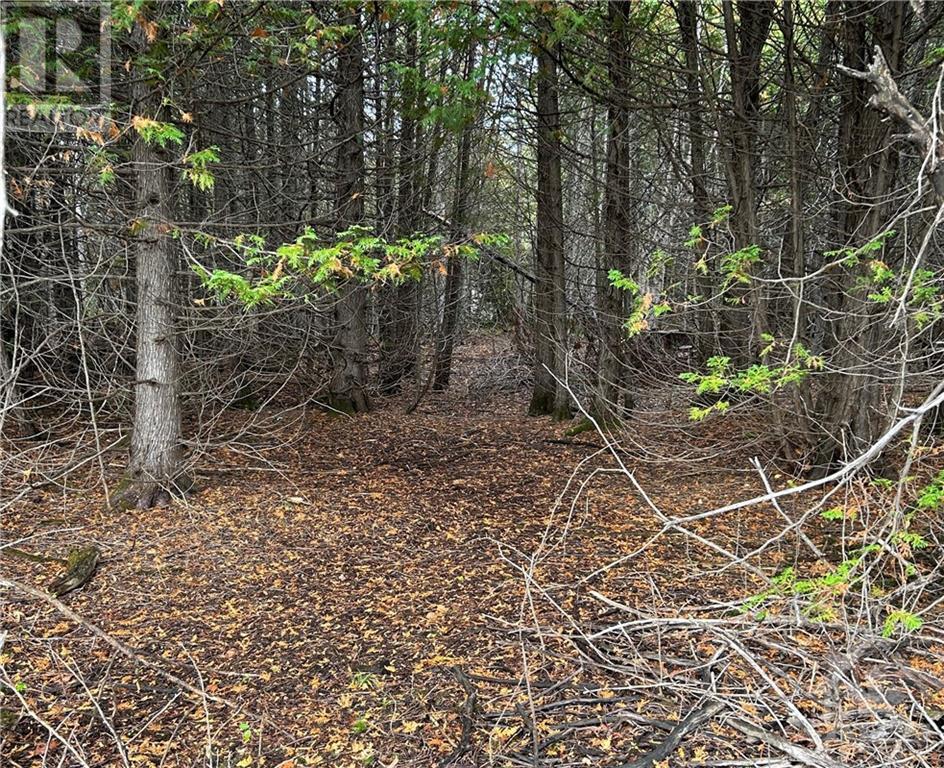 Rocksprings Road, North Augusta, Ontario  K0G 1R0 - Photo 5 - 1364215