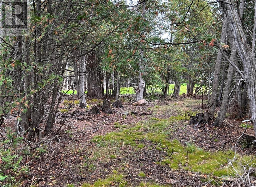 Rocksprings Road, North Augusta, Ontario  K0G 1R0 - Photo 6 - 1364215