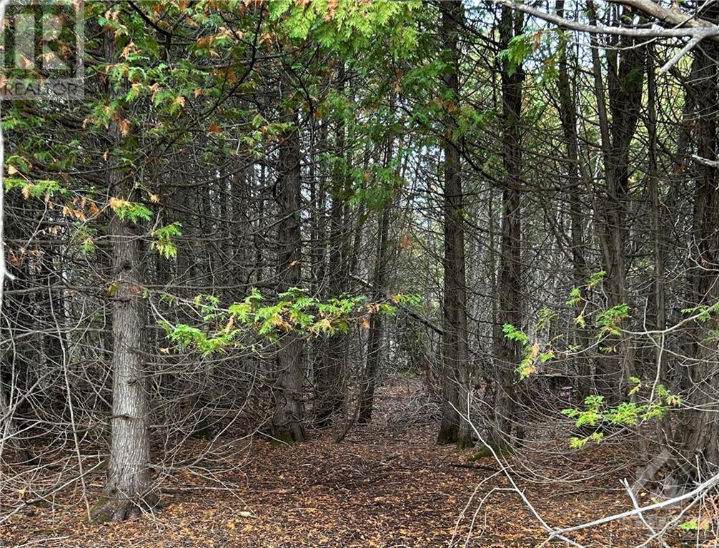 Rocksprings Road, North Augusta, Ontario  K0G 1R0 - Photo 7 - 1364215